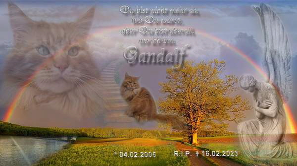 Gandalf Anzeige 160223 fertig für Homepage